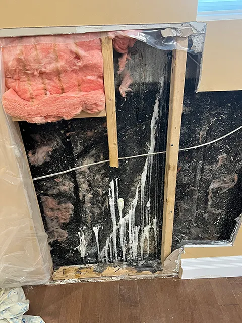 Seal and repair a foundation crack in Lasalle, QC. Before Seal and repair a foundation crack in Lasalle, QC. Before