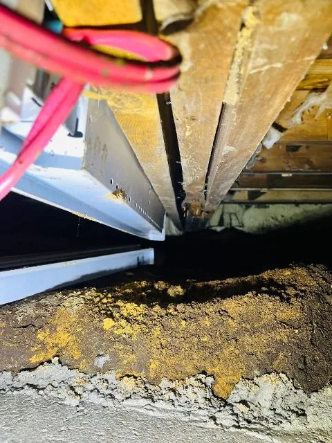 Problème d'isolation et de renforcement dans le vide sanitaire à Montréal-Nord, QC